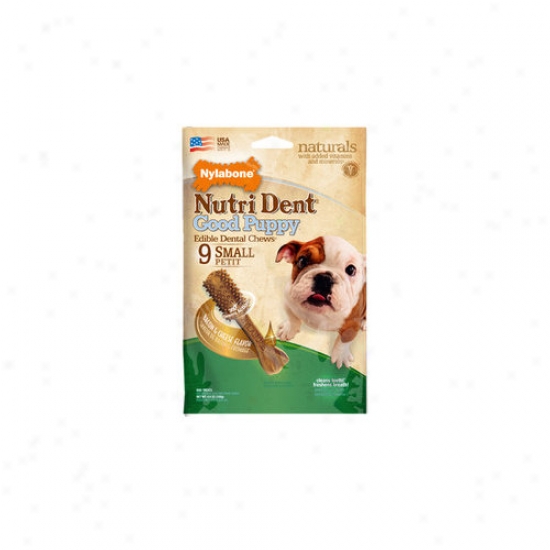 Nylabone Nytri Dent Puppy Bacon And Cyeese Dog Treat