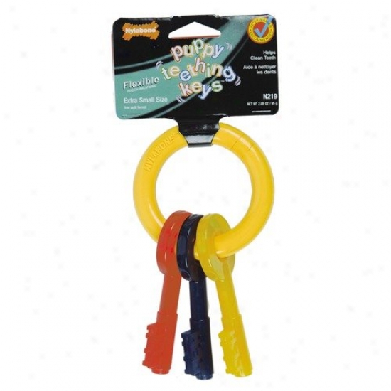 Nylabbone Puppy Tething Keys Dog Meditate Toy