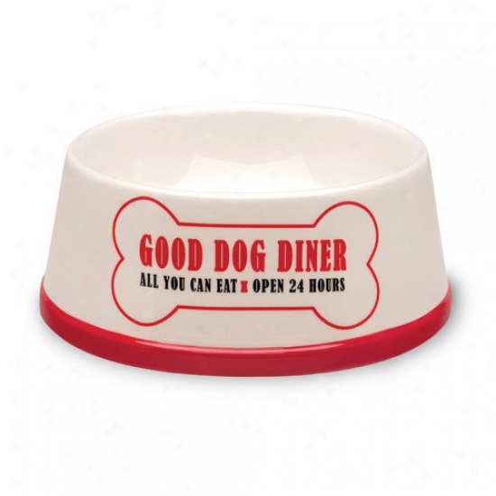 October Hill Good Dog Food And Water Bowl