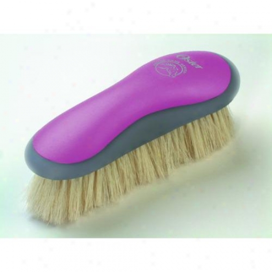 Oster 78399-111 Oster Sofr Finish Brush