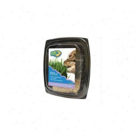 Ourpets Company - Cosmic Kitty Cat Family Grass - 1050011700