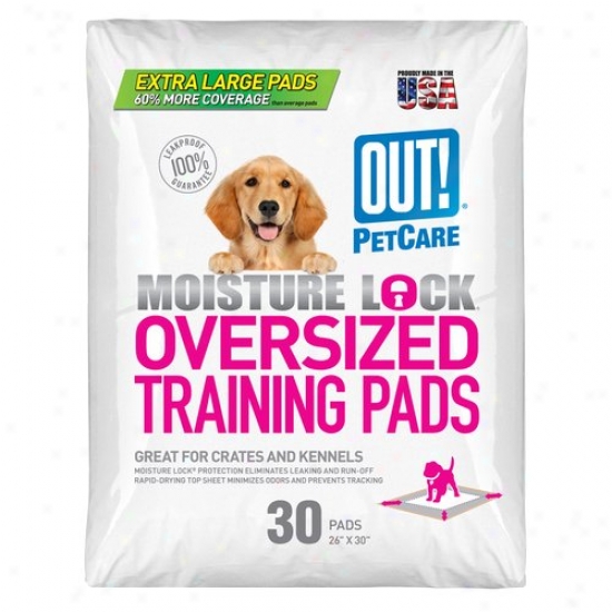 Out! Oversized Puppy Instruction Pads, 30-count