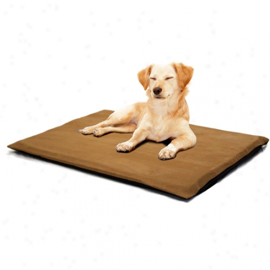Paw 2" Orthopedic Foam Pet Bed, Suede Camel