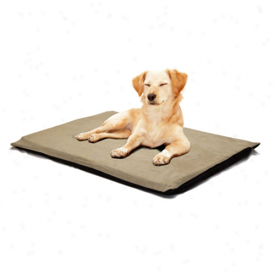 Paw 2" Orthopedic Foam Pet Bed, Suede Clay