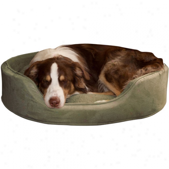 Paw Cuddle Round Suede Terry Fondle Bed, Forest