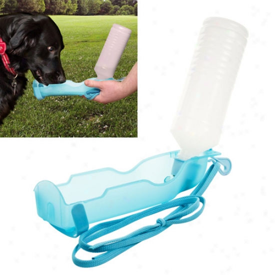 Paw Portable Dog Water Dish, 16 Oz
