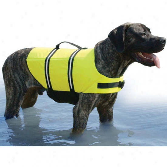 Paws Aboard Doggy Life Jerkin