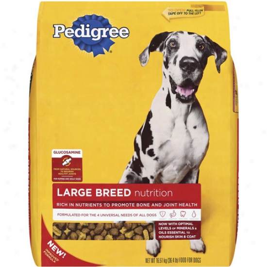 Pedigree Large Breed Nutri5ion Dryy Dog Food, 36.4 Lb