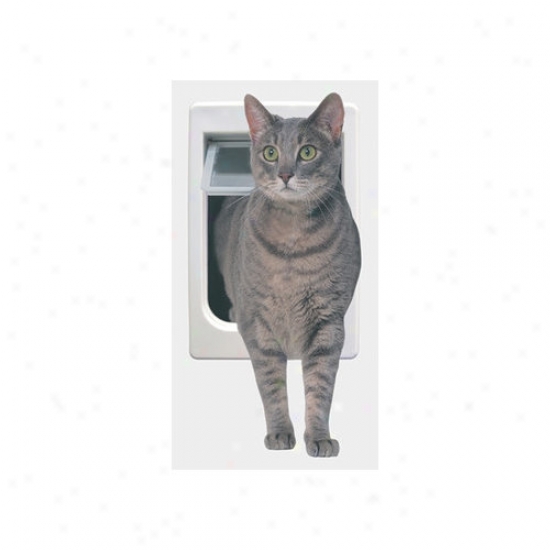 Perfect Fondle By Ideal Tubby Kat With 4 Way Lock Pet Door