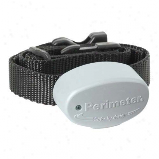 Perimeter Technologies Electronic Fence R21 Replacement Collar