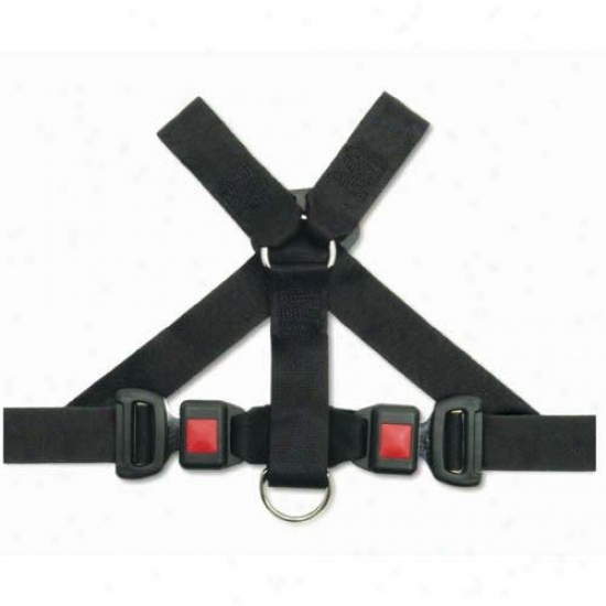 Pet Buckle Universal Travel Harness