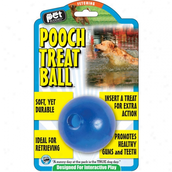 Pet Buddies Pooch Treat Ball Dog Toy