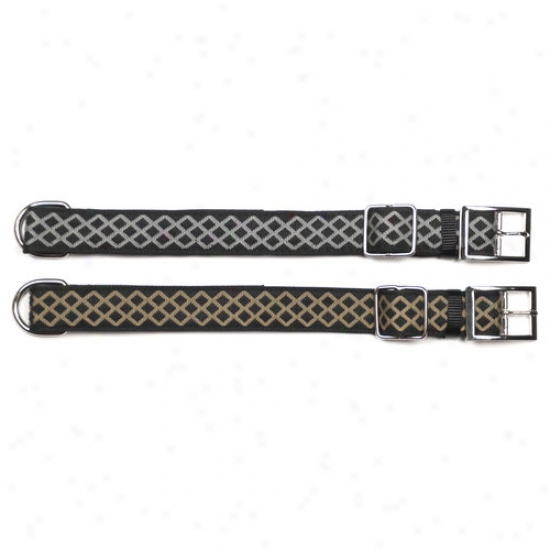 Pet Champion 1.25" Celtic Medium Dog Collar