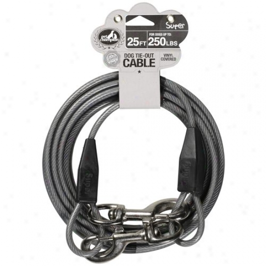 Pet Champion 25 Ft Super Dog Tie-o8t Cable