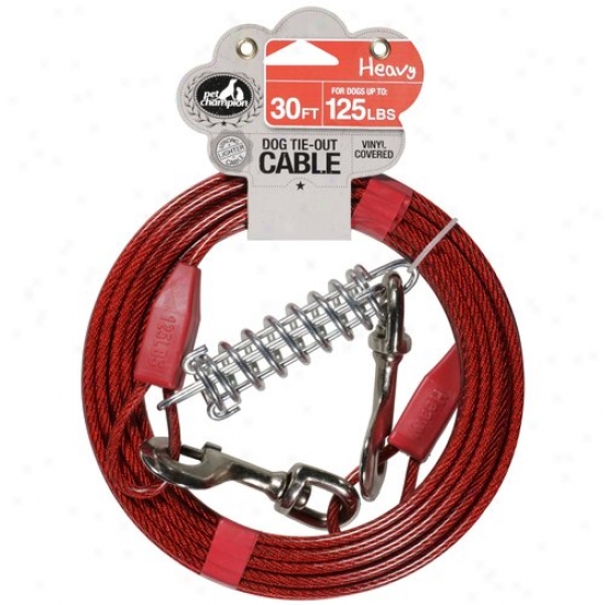 Pet Champion 30 Ft Heavy Dog Tie-out Cable