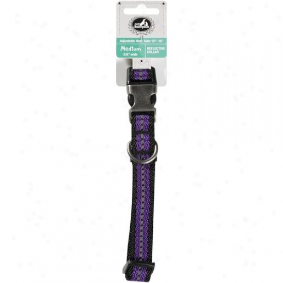 Pet Champion Adjustable Medium Collar