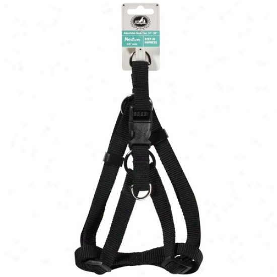 Pet Champion Black Step-in Medium 5/8 In Wide Pet Harness