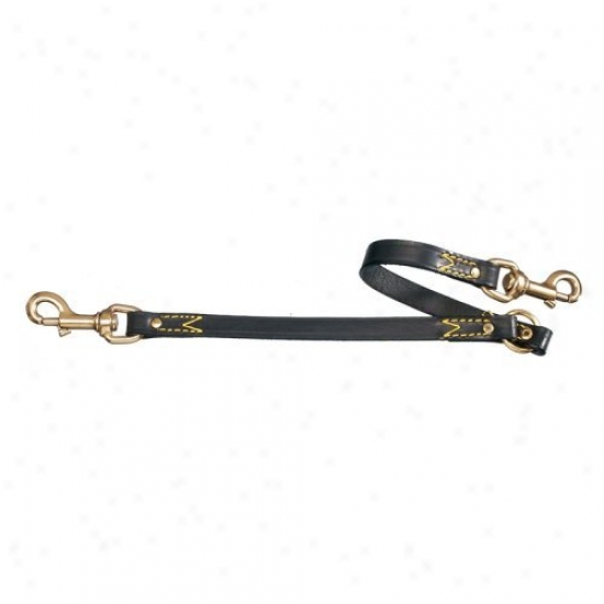 Pet Ego Coupler Twin Dog Leash