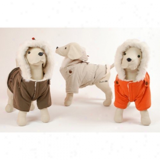 Pet Ego Dogrich Italian Dog Cozt