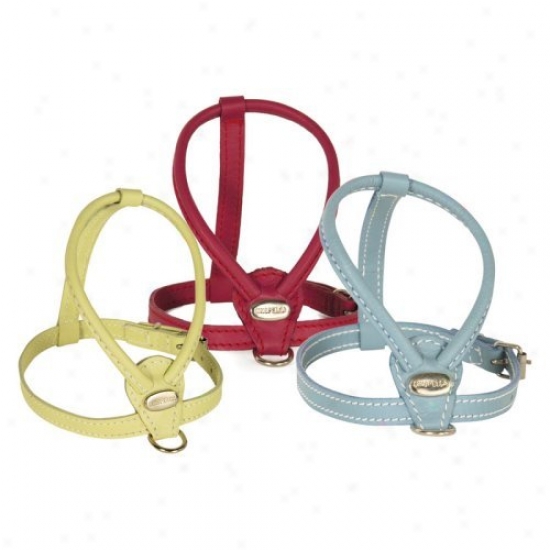 Pet Ego Extra Small Teacup Dog Harness