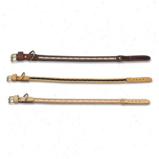 Pet Ego Flat Dog Collar With Embossed Monogram