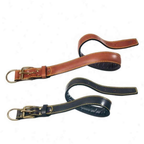 Pet Ego Padded Dog Collar Without Studs