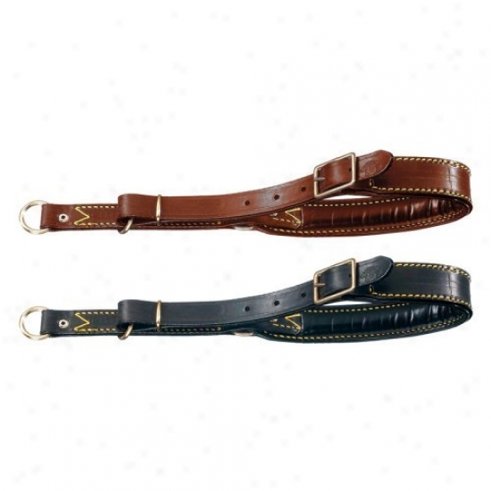 Pet Ego Padded Locking Choke Dog Coolar