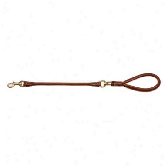 Pet Ego Fistular And Swivel Ring Hand Grip Dog Leash