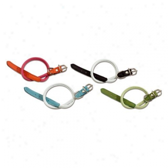 Angry mood Ego Two Color Twisted Tubular Dog Collar