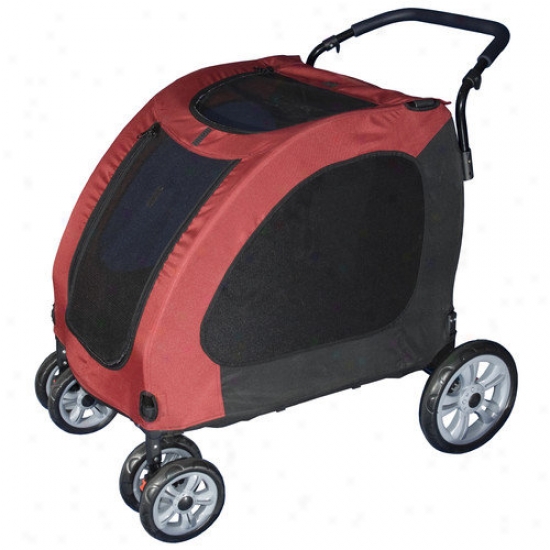 Pet Gear Expedition Pet Wanderer In Burgundy