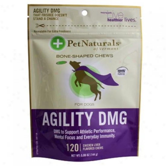 Pet Naturals Of Vermont Agility Dmg Bone Shaped Chews For Dogs Chicken Liver 120 Chewables