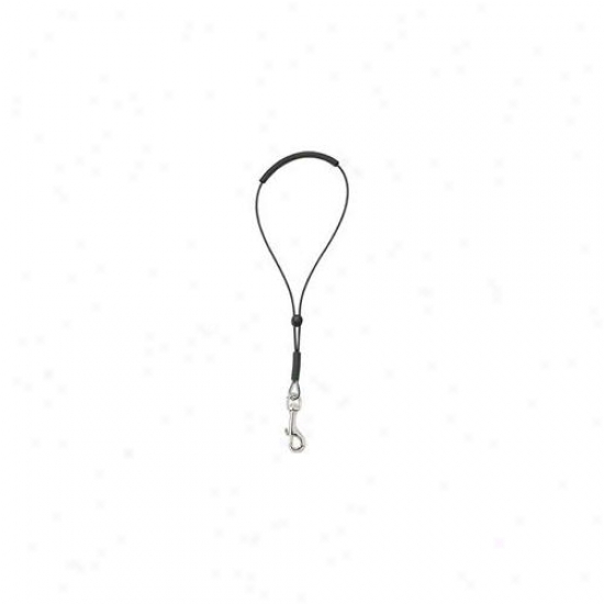 Pet Pals Tp184 19 Top Performance Cable Grooming Loop 19 In