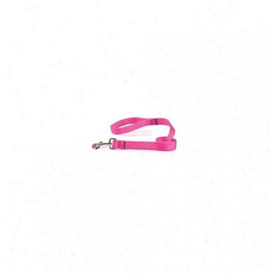 Pet Pals Tp648 66 33 Guardian Gear Dbl Layer Lead 6 Ft Flamingo Pink