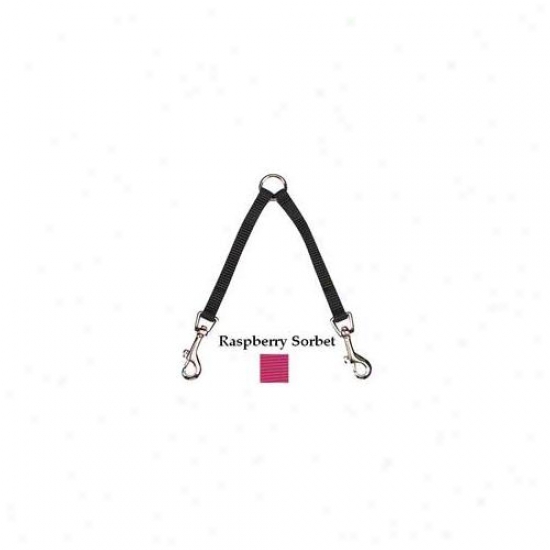Pet Pals Us9131 12 81 Zack & Zoey 2-way Coupler 12 In Raspberry Sorbt