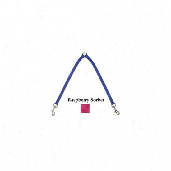 Pet Pals Us9131 24 81 Zack & Zoey 2-way Coupler 24 In Raspberry Sorbet