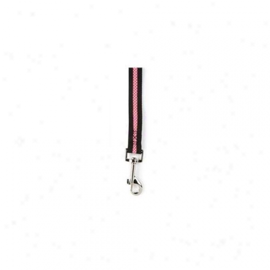 Pet Pals Za006 45 75 Cc Pastel Mesh Lead 4 Ft X . 75 In Pink P
