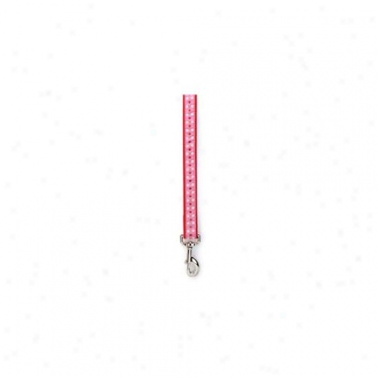 Pet Pals Za1119 44 83 Esc Polka Dot Guidance 4 Ft X . 62 In Red