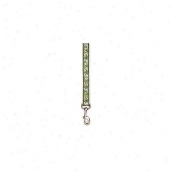 Pet Pals Za3334 44 43 Esc Carolina Conduct 4 Ft X . 62 In Green P