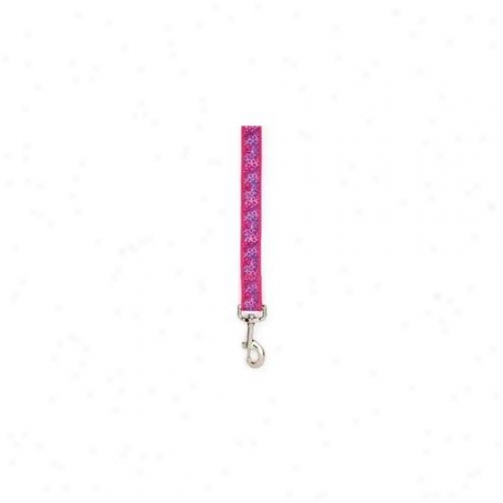 Pet Pals Za3334 66 81 Esc Caeolina Lead 6 Ft X 1 In Raspberry P