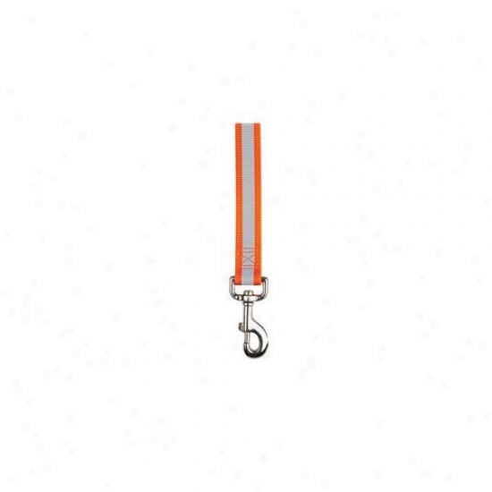 Pet Pals Za985 44 69 Guardian Gear Thoughtful Ld 4 Ft X . 62 In Orange