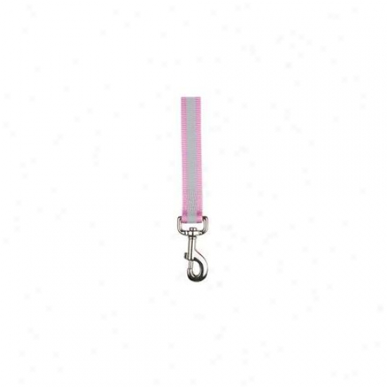 Pet Pals Za985 66 75 Guardian Gear Reflective Ld 6 Ft X 1 In Pink