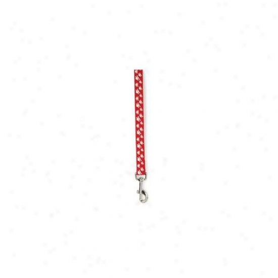 Pet Pals Zw889 45 83 Casual Canine Crossbone Lead 4 Ft X . 75 In Red