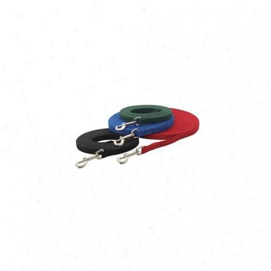 Petedge Tp335 30 19 Guardian Cotton Web Training Lead 30 Ft Blue
