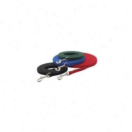 Petedge Tp335 50 19 Guardian Cotton Web Training Lead 50 Ft Blue