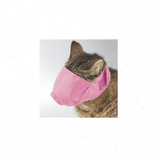 Petedge Tp570 10 19 Gg Lined Fashion Cat Muzzle Sm Up To 6 Lbs Blue