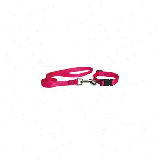 Petedge Tp809 40 33 Guardian Gear Lead 4 Ft X 5/8 In Flamjngo Pink