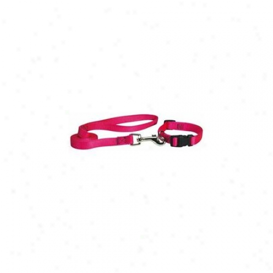 Petedge Tp809 44 33 Guardian Gear Lead 4 Ft X 1 In Flamingo Pink