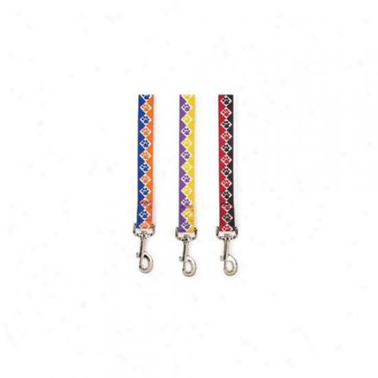 Petedge Za2638 66 19 Cc Collegiate Paws Lead 6 Ft X 1 In Blue/org
