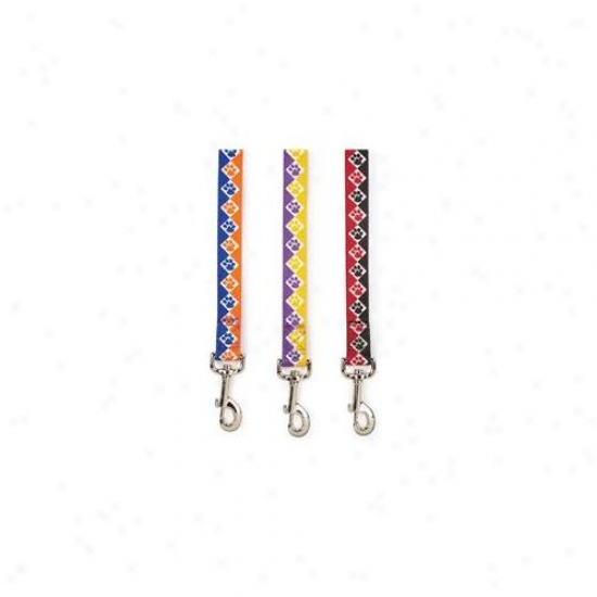 Petedge Za2638 66 79 Cc Collegiate Paws Lead 6 Ft X 1 In Purp/yell