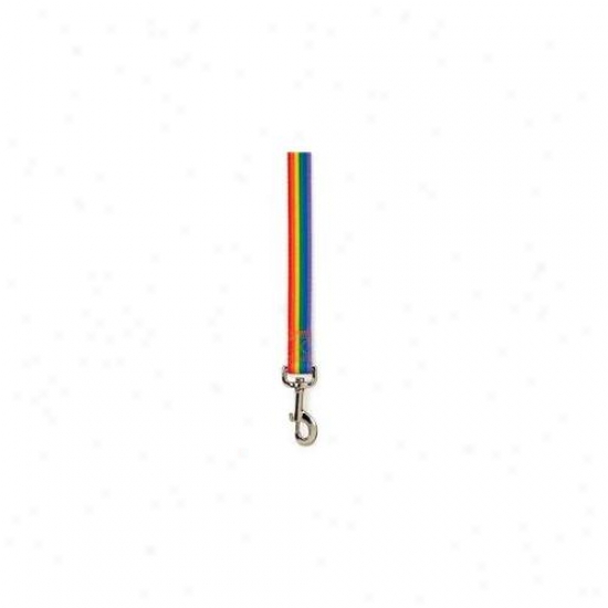 Petedge Za3616 44 81 Cc Puppy Pride Lead 4 Ft X 5/8 In Rainbow